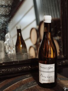 Vignobles Berthier Pouilly - Fumé Le Champ Lopin 2022