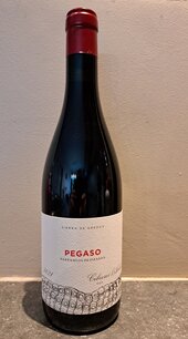 Telmo Rodríguez Pegaso Barrancos De Pizarra 2021